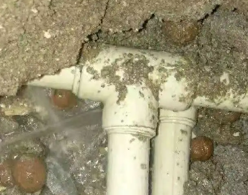 曾都测漏水多少钱