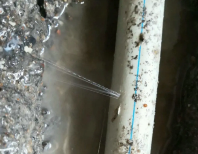 曾都测漏水哪家好