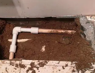 曾都测漏水哪家好