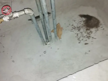 曾都卫生间测漏水价格明细