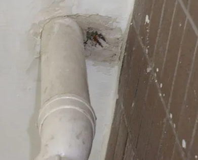 曾都漏水检测哪家好